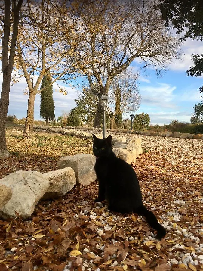 Vento D'Orcia Villa Pienza 0*,  Italy