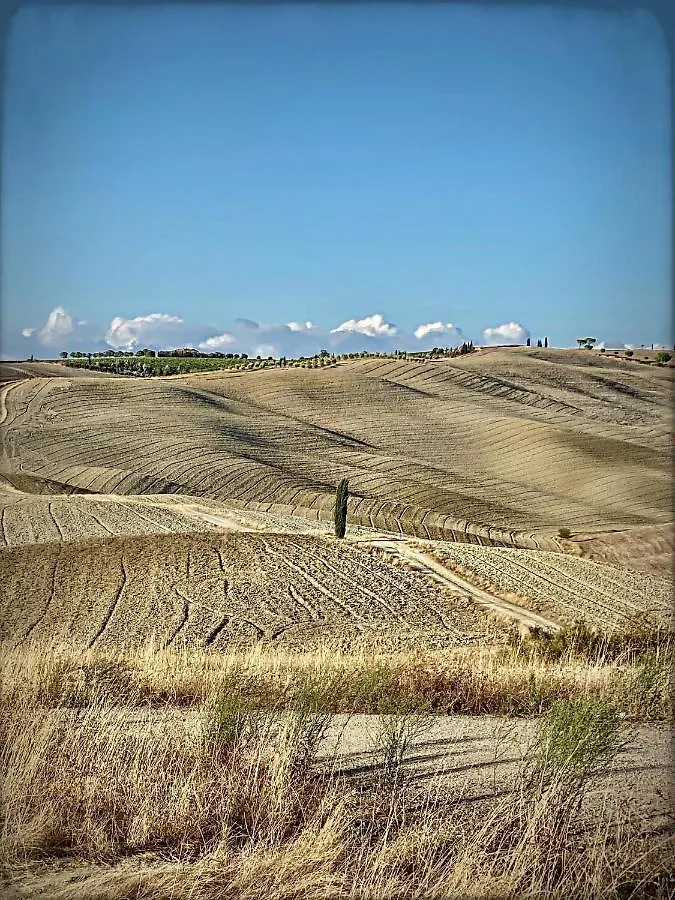 فيلا Vento D'Orcia بيينْسا إيطاليا